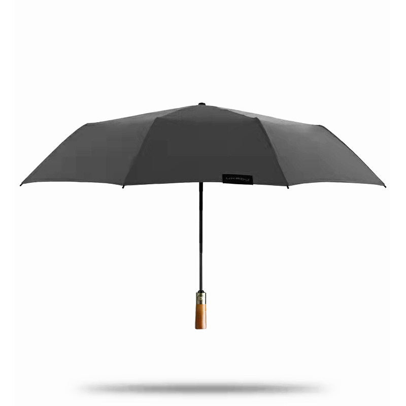 Automatic Umbrella